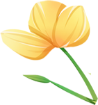 icon_6
